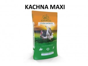 ENERGYS Kachna MAXI 25kg pro kachny a husy