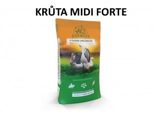 ENERGYS Krůta Midi Forte 25kg pro krůty